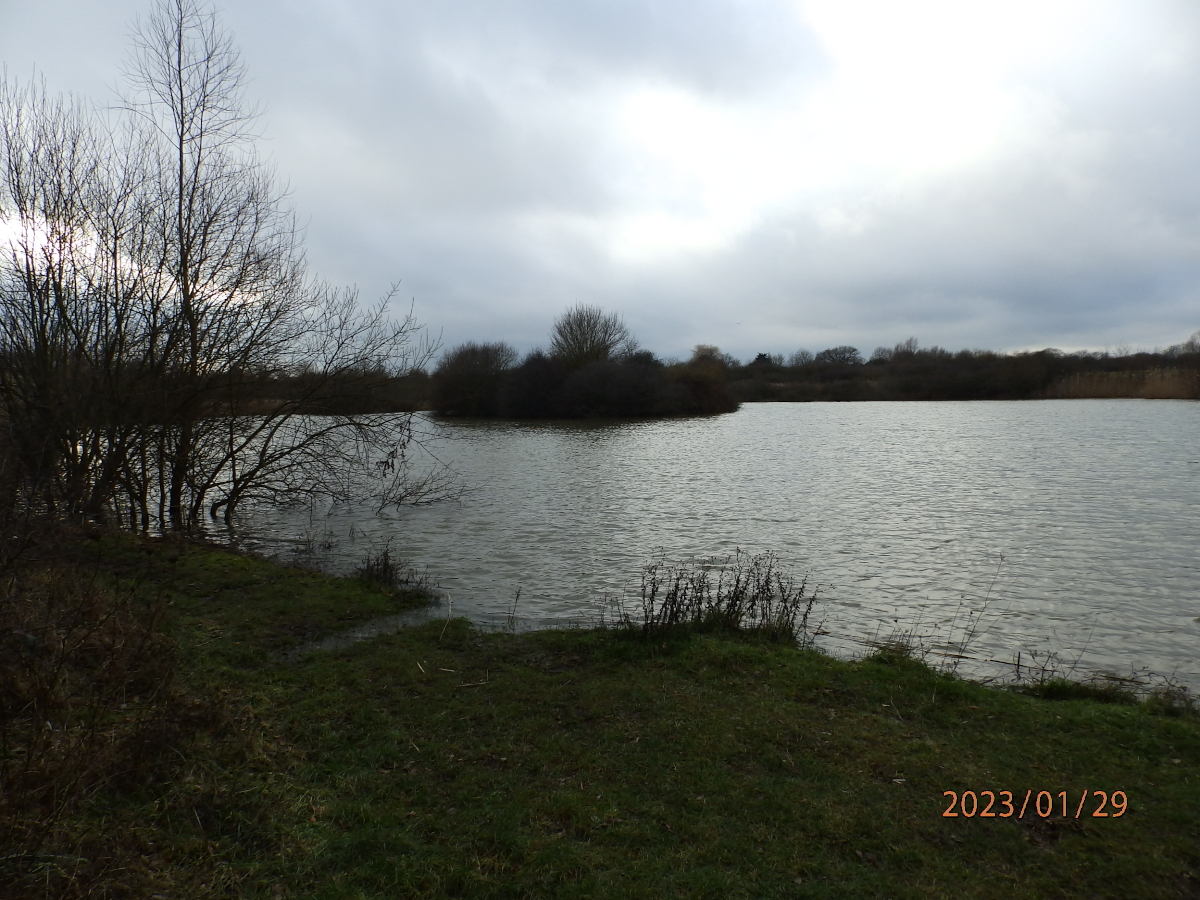 FoWCP Picture