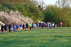 Runners