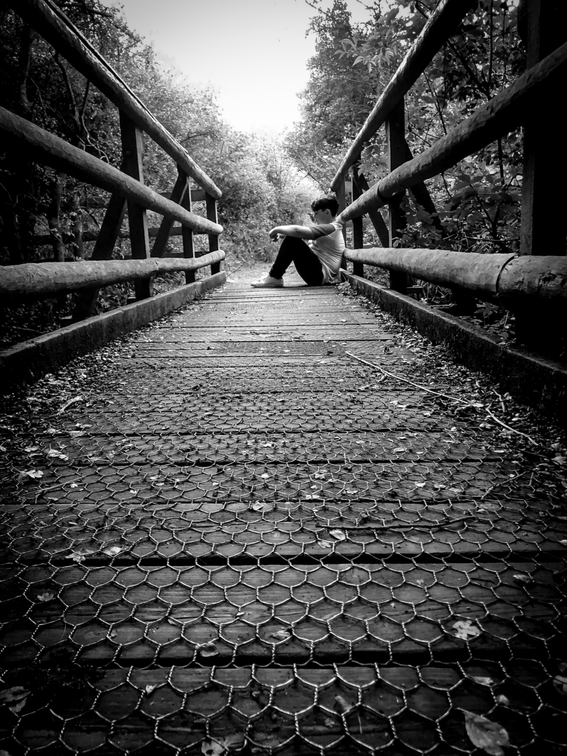 WCP Photographic Competition 2022 runner up